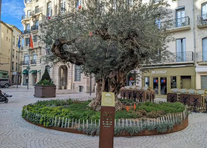Tiny House 1, 2 Ou 3 Personnes Soeursgrises Beziers Centre Historique Coeur De L'Herault Occitanie, Plus Vieille Ville De France, Chemin De Compostelle A Pied Ou Velo, Passeport Du Pelerin 24H, Petits Dejeuners Et Repas, 300M Du Centre Ville